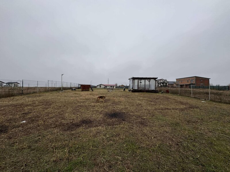 Vidra - Berceni - Ilfov