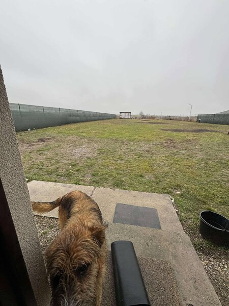 Vidra - Berceni - Ilfov